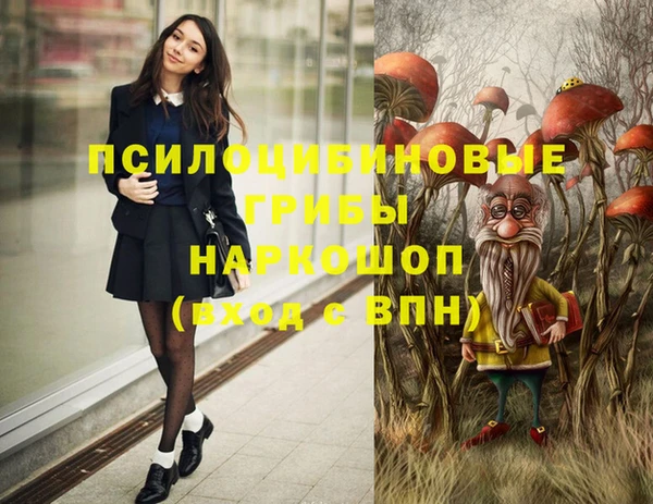 соль ск Алексеевка